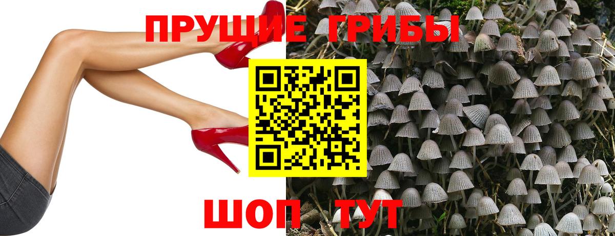 Галлюциногенные грибы Magic Shrooms  Псилоцибиновые грибы Psilocybine cubensis  Вход с VPN  Кольчугино 