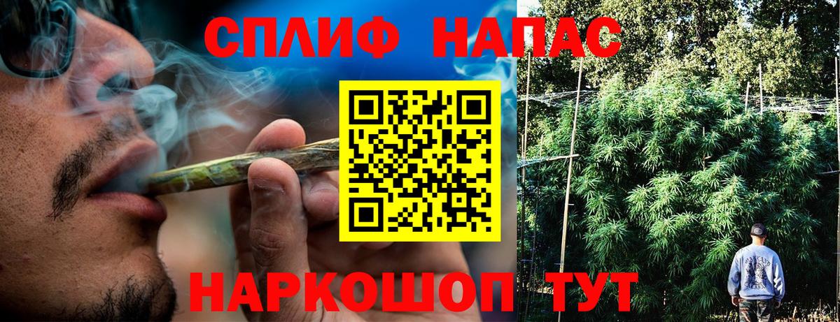 Конопля марихуана Кольчугино
